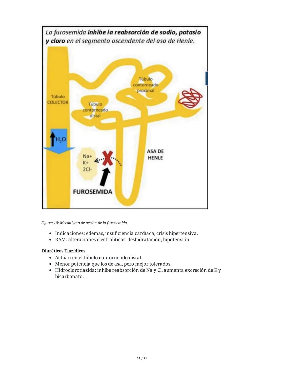 Farmacología de Antihipertensivos y Diuréticos
1. Introducción y Objetivos
El manejo de la hipertensión arterial (HTA) es fundamental en la