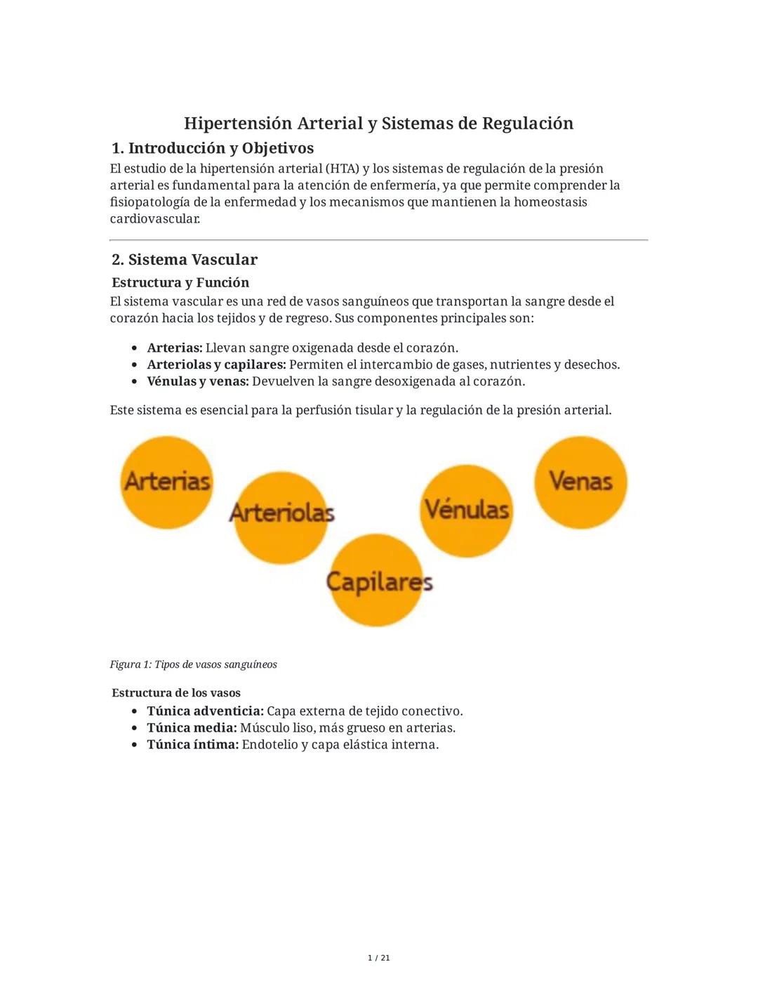 Hipertensión y Regulación Arterial
