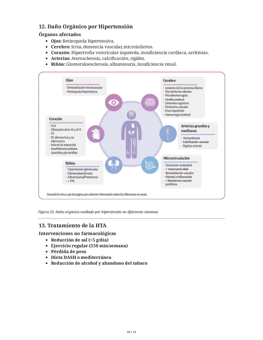 Hipertensión Arterial y Sistemas de Regulación
1. Introducción y Objetivos
El estudio de la hipertensión arterial (HTA) y los sistemas de re
