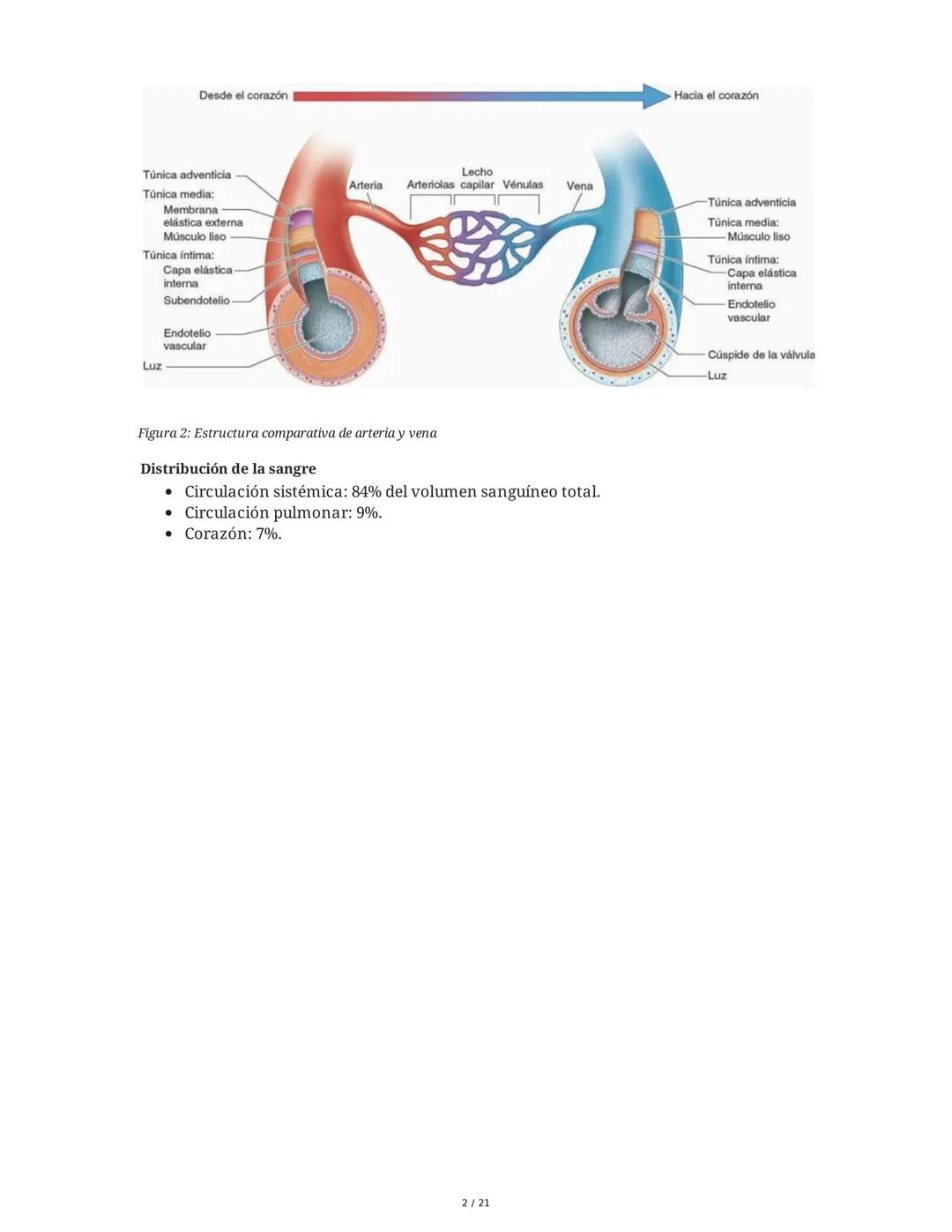 Hipertensión Arterial y Sistemas de Regulación
1. Introducción y Objetivos
El estudio de la hipertensión arterial (HTA) y los sistemas de re
