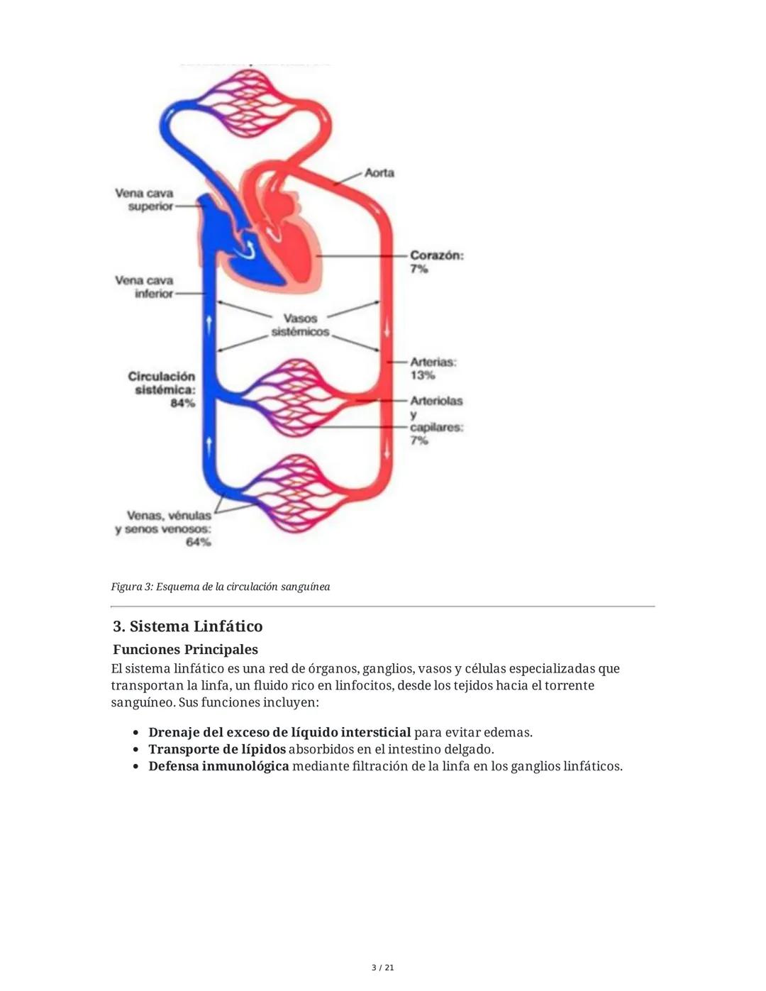 Hipertensión Arterial y Sistemas de Regulación
1. Introducción y Objetivos
El estudio de la hipertensión arterial (HTA) y los sistemas de re