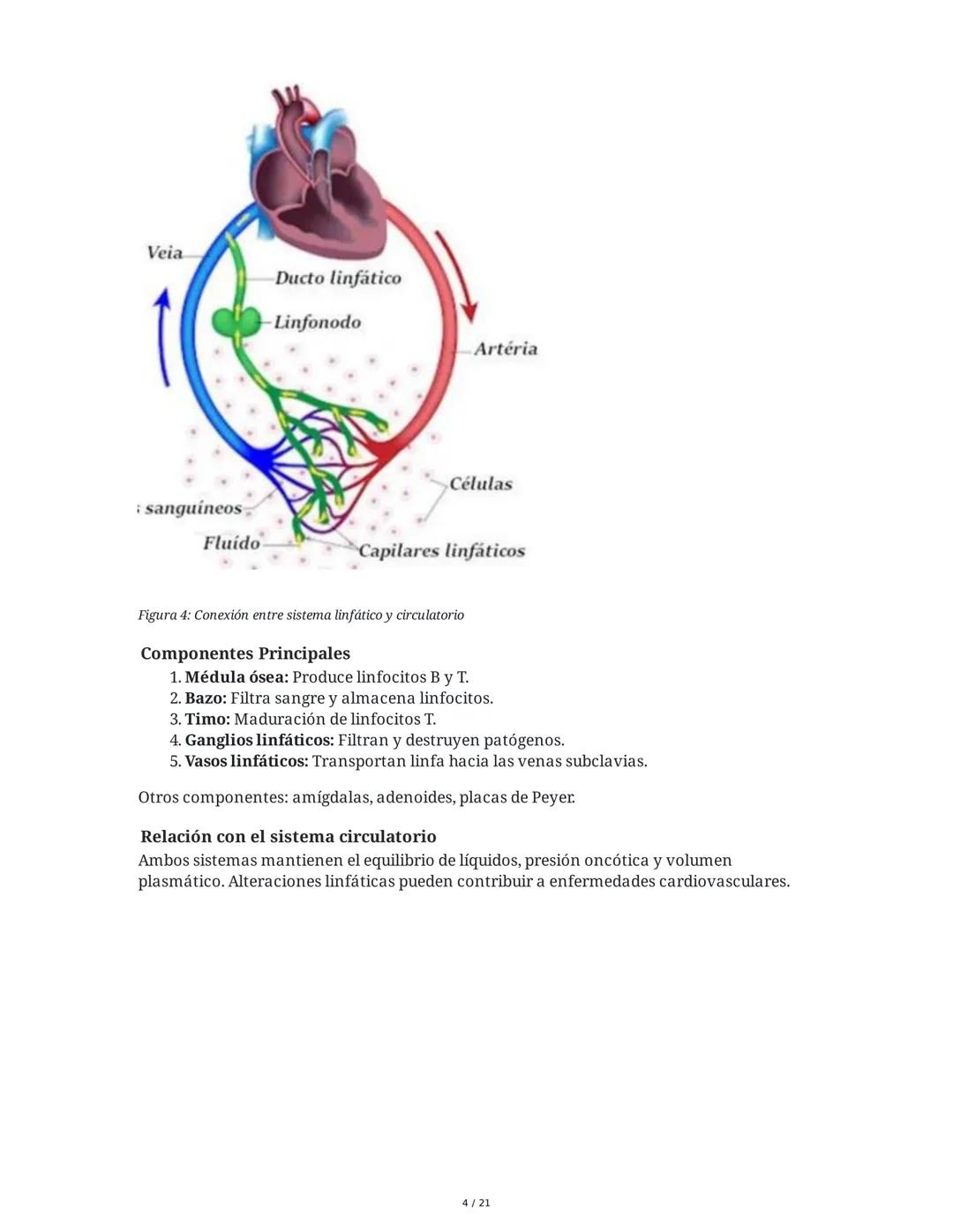 Hipertensión Arterial y Sistemas de Regulación
1. Introducción y Objetivos
El estudio de la hipertensión arterial (HTA) y los sistemas de re