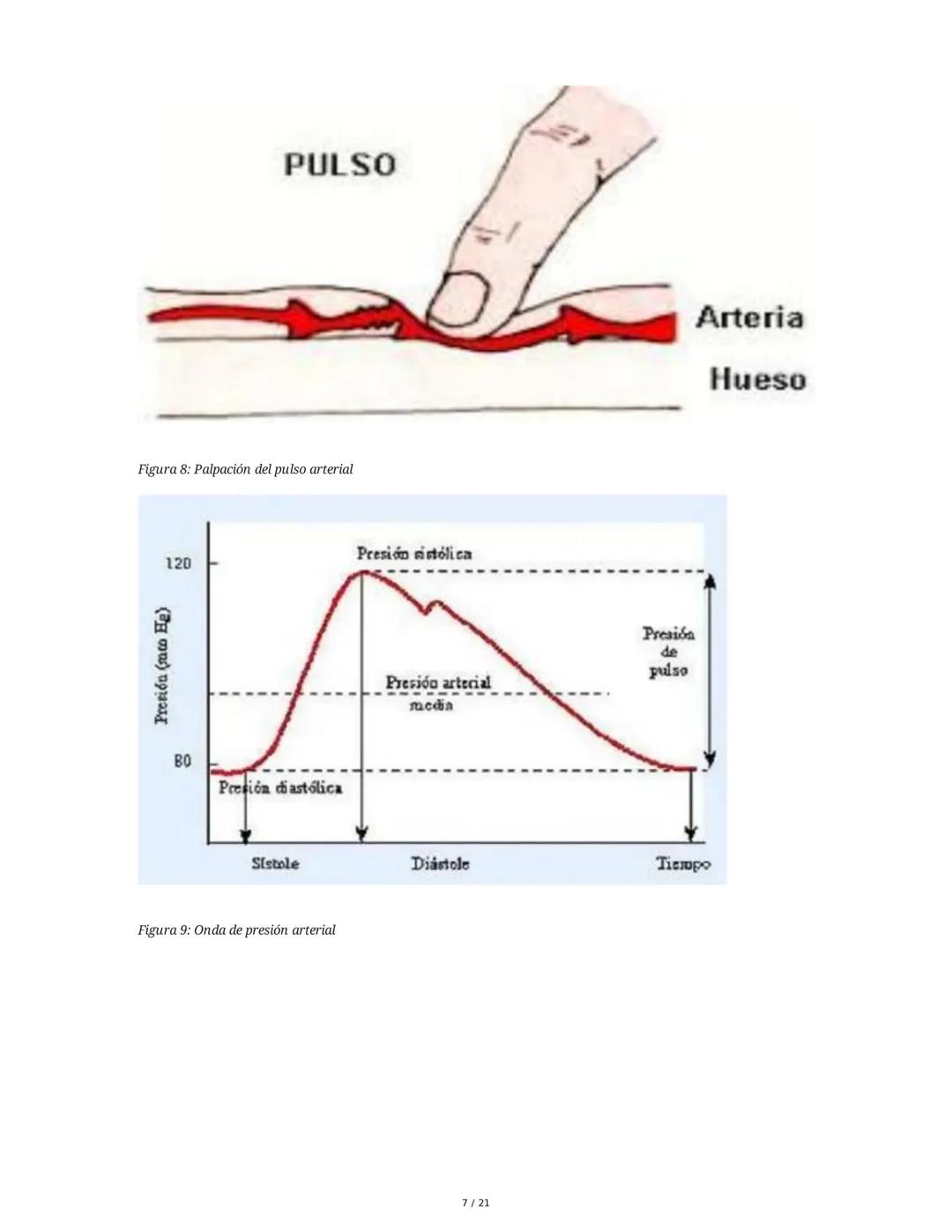 Hipertensión Arterial y Sistemas de Regulación
1. Introducción y Objetivos
El estudio de la hipertensión arterial (HTA) y los sistemas de re