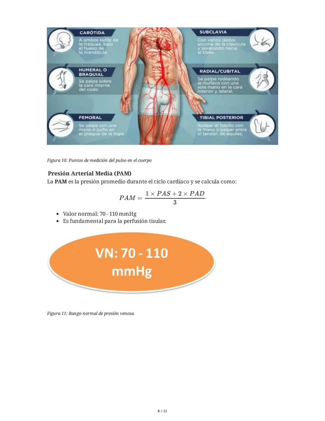 Hipertensión Arterial y Sistemas de Regulación
1. Introducción y Objetivos
El estudio de la hipertensión arterial (HTA) y los sistemas de re