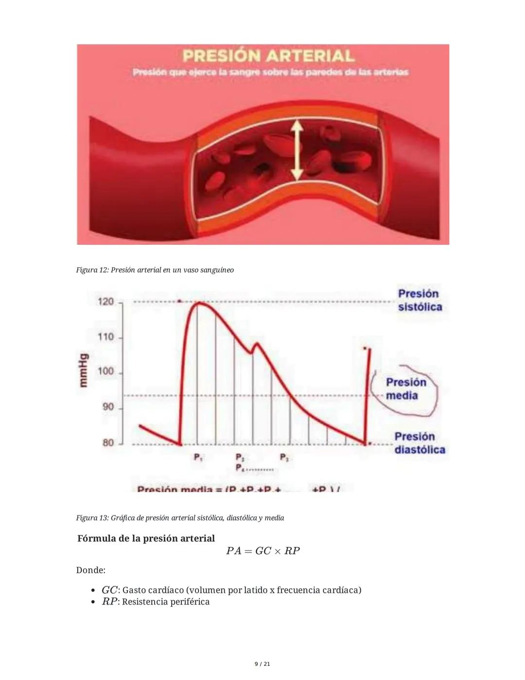 Hipertensión Arterial y Sistemas de Regulación
1. Introducción y Objetivos
El estudio de la hipertensión arterial (HTA) y los sistemas de re
