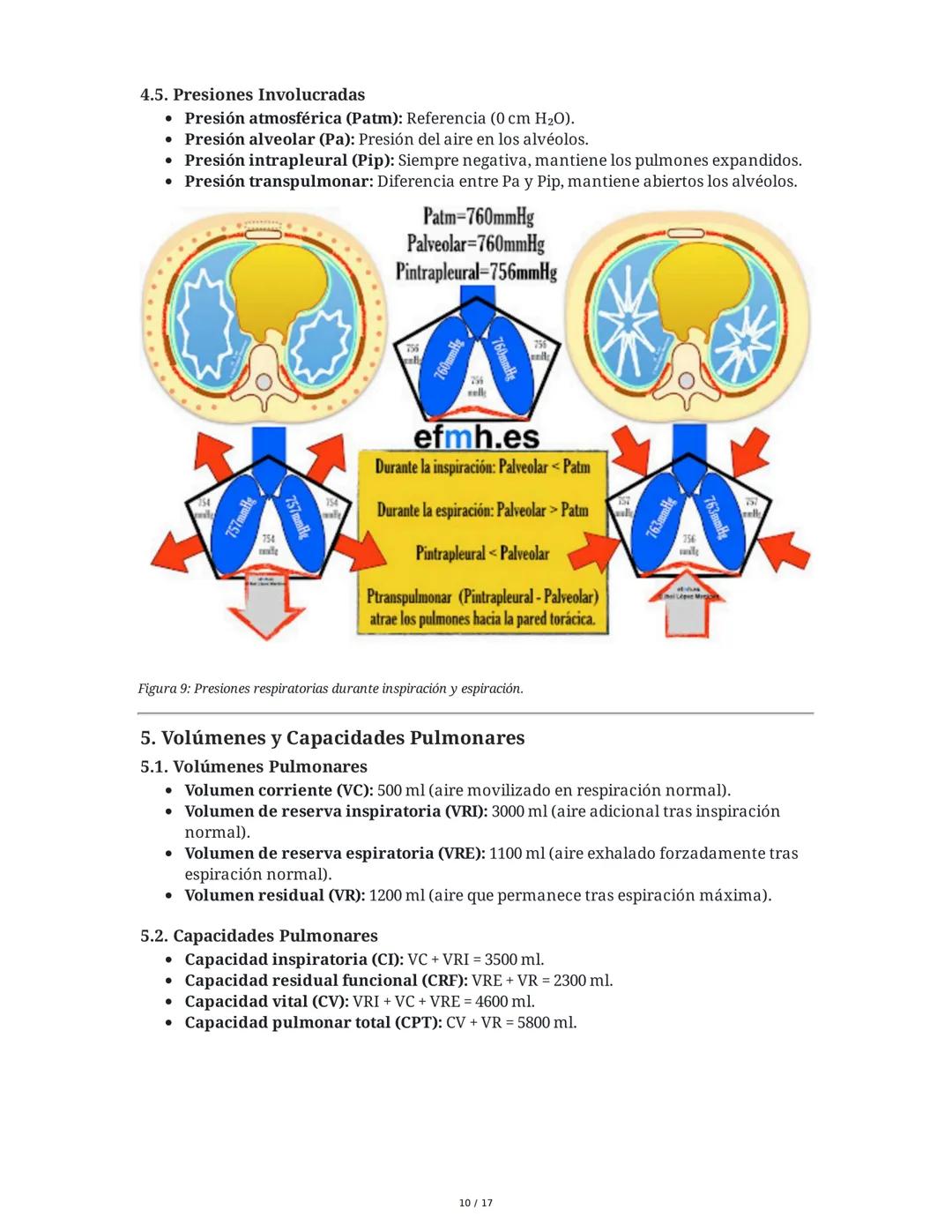 # Fisiología del Sistema Respiratorio
## 1. Introducción y Objetivos
La fisiología del sistema respiratorio estudia los mecanismos que per