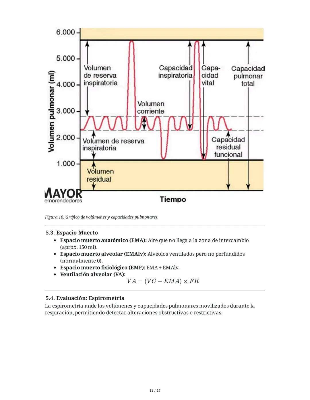 # Fisiología del Sistema Respiratorio
## 1. Introducción y Objetivos
La fisiología del sistema respiratorio estudia los mecanismos que per