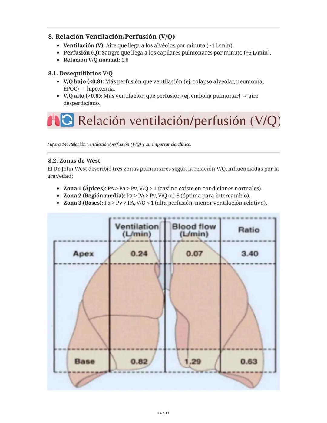 # Fisiología del Sistema Respiratorio
## 1. Introducción y Objetivos
La fisiología del sistema respiratorio estudia los mecanismos que per