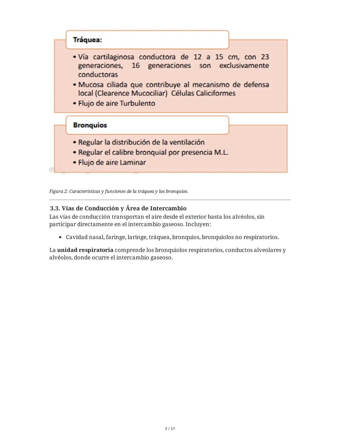 # Fisiología del Sistema Respiratorio
## 1. Introducción y Objetivos
La fisiología del sistema respiratorio estudia los mecanismos que per