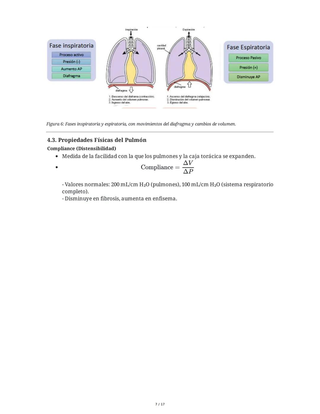 # Fisiología del Sistema Respiratorio
## 1. Introducción y Objetivos
La fisiología del sistema respiratorio estudia los mecanismos que per