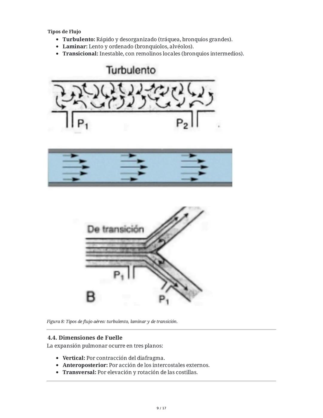# Fisiología del Sistema Respiratorio
## 1. Introducción y Objetivos
La fisiología del sistema respiratorio estudia los mecanismos que per