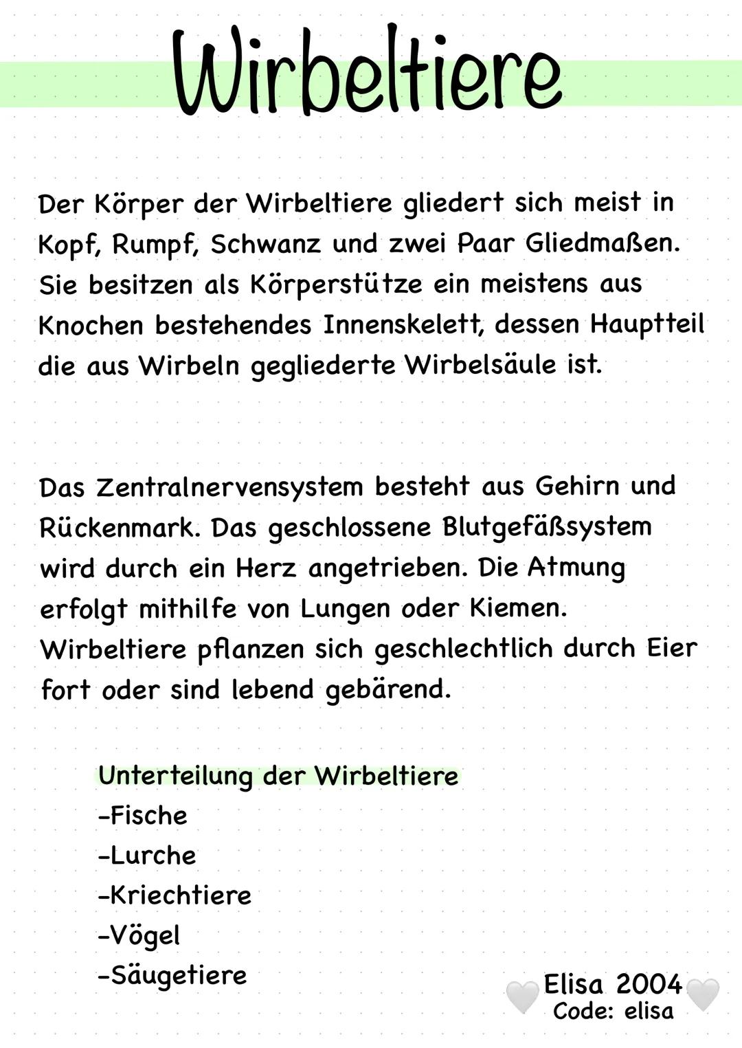 # Wirbeltiere
Der Körper der Wirbeltiere gliedert sich meist in
Kopf, Rumpf, Schwanz und zwei Paar Gliedmaßen.
Sie besitzen als Körperstütz