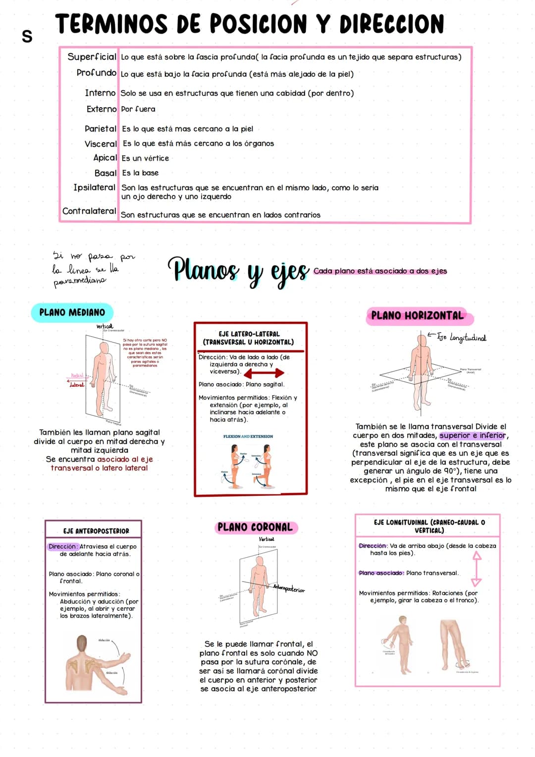 # Generalidades de Anatomía
Anatomía es una rama de las ciencias naturales que tiene que ver con la estructura
Macroscópica: Se refiere a lo
