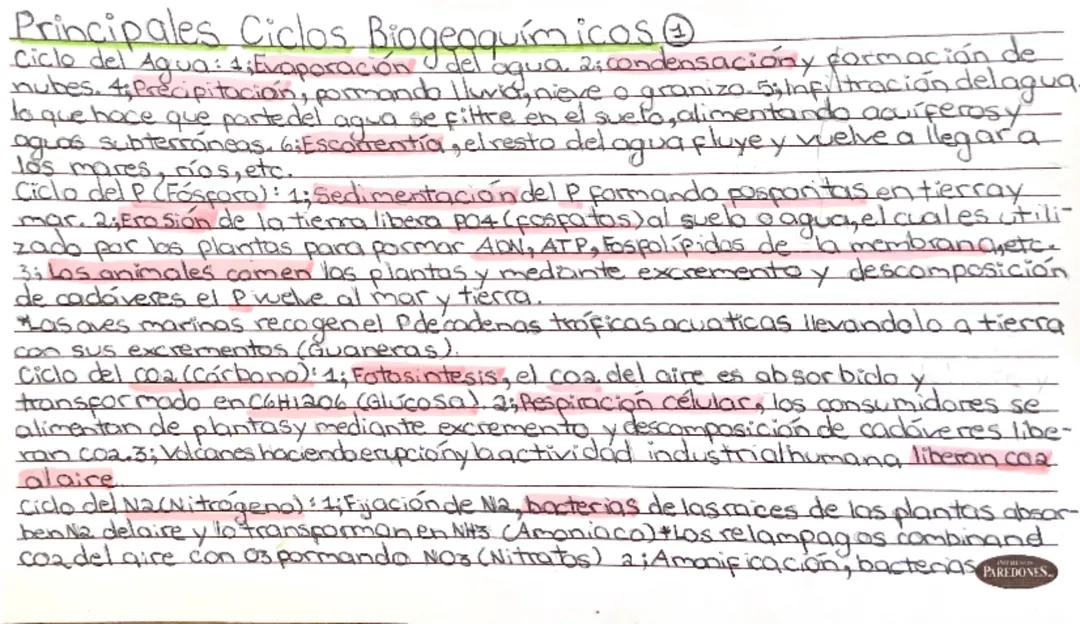 Principales Ciclos Biogeoquímicos