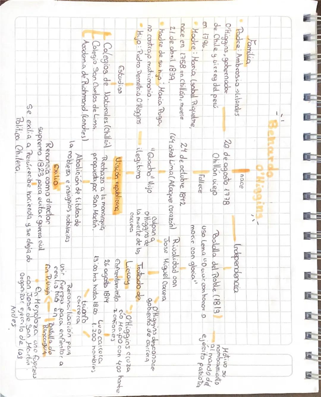 Familia
Padre Ambrosio Irlandeses
O'Higgins, gobernador
de Chile y virrey del Perú
en 1796.
Madre: María (Isabel Riquelme,
naces en 1758 en