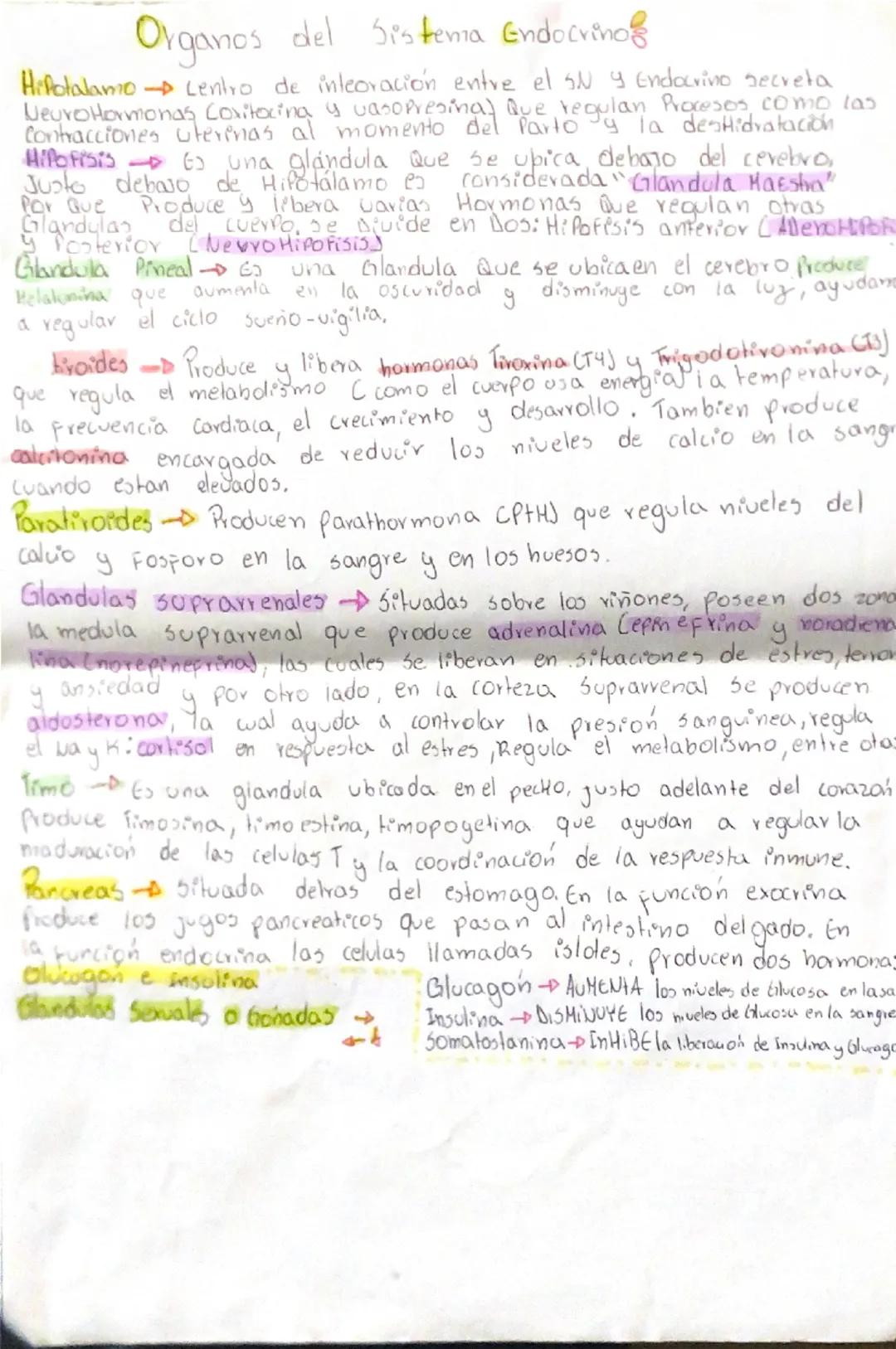 ## Sistema Endocrino
Conjunto de glandulas sin
atómica distribuidas
por todo el organismo
encargadas de regular e integrar
funciones de var