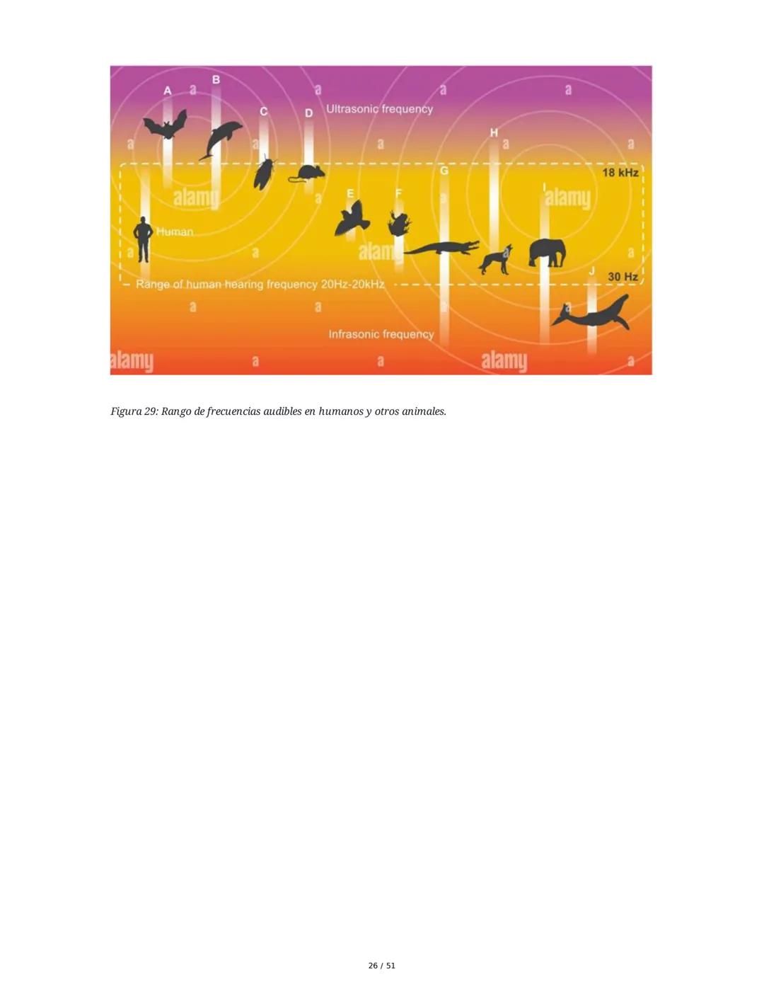 Biología de la Conducta y la Emoción
Clase 7: Los Sentidos
1. Introducción a los Sistemas Sensitivos
La percepción sensorial es el proceso m