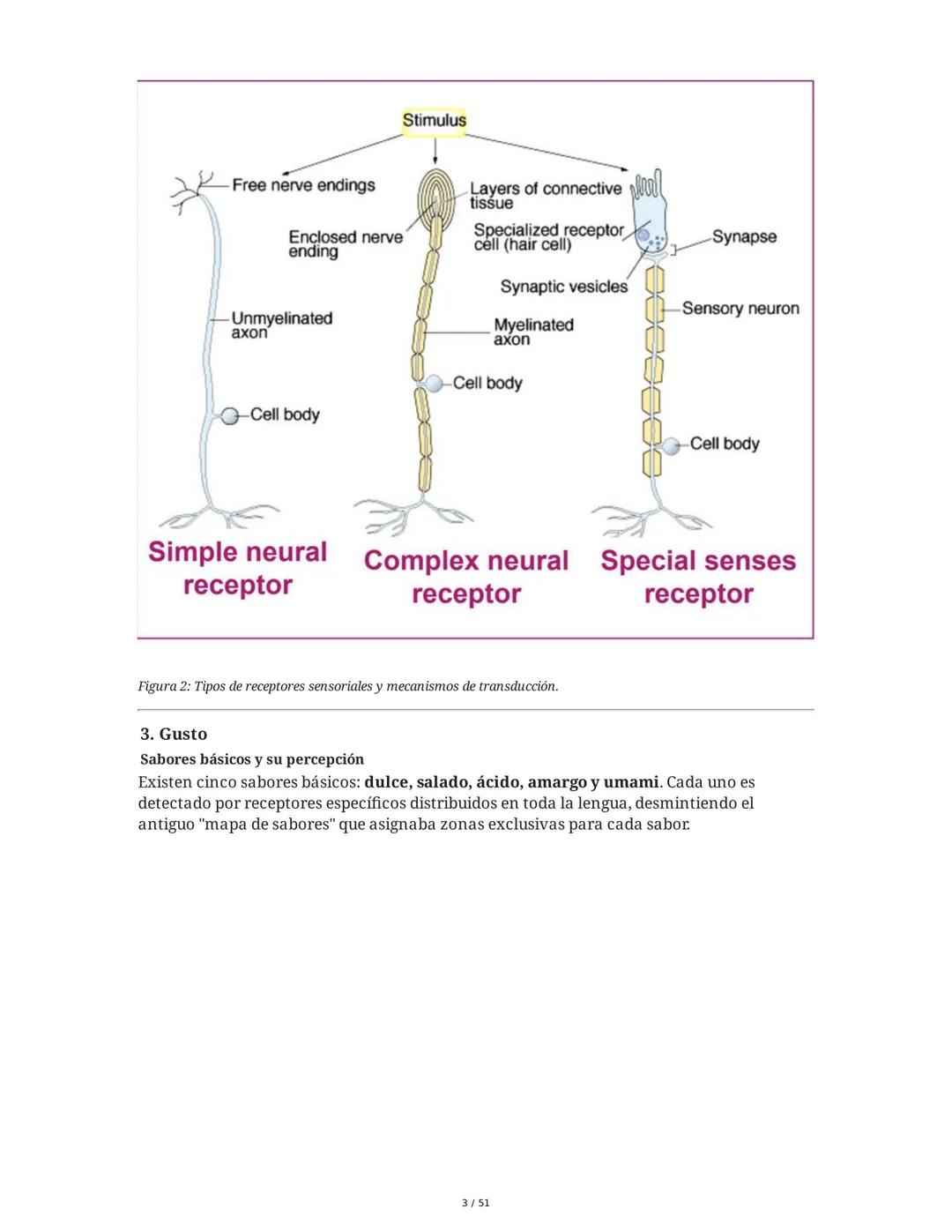 Biología de la Conducta y la Emoción
Clase 7: Los Sentidos
1. Introducción a los Sistemas Sensitivos
La percepción sensorial es el proceso m