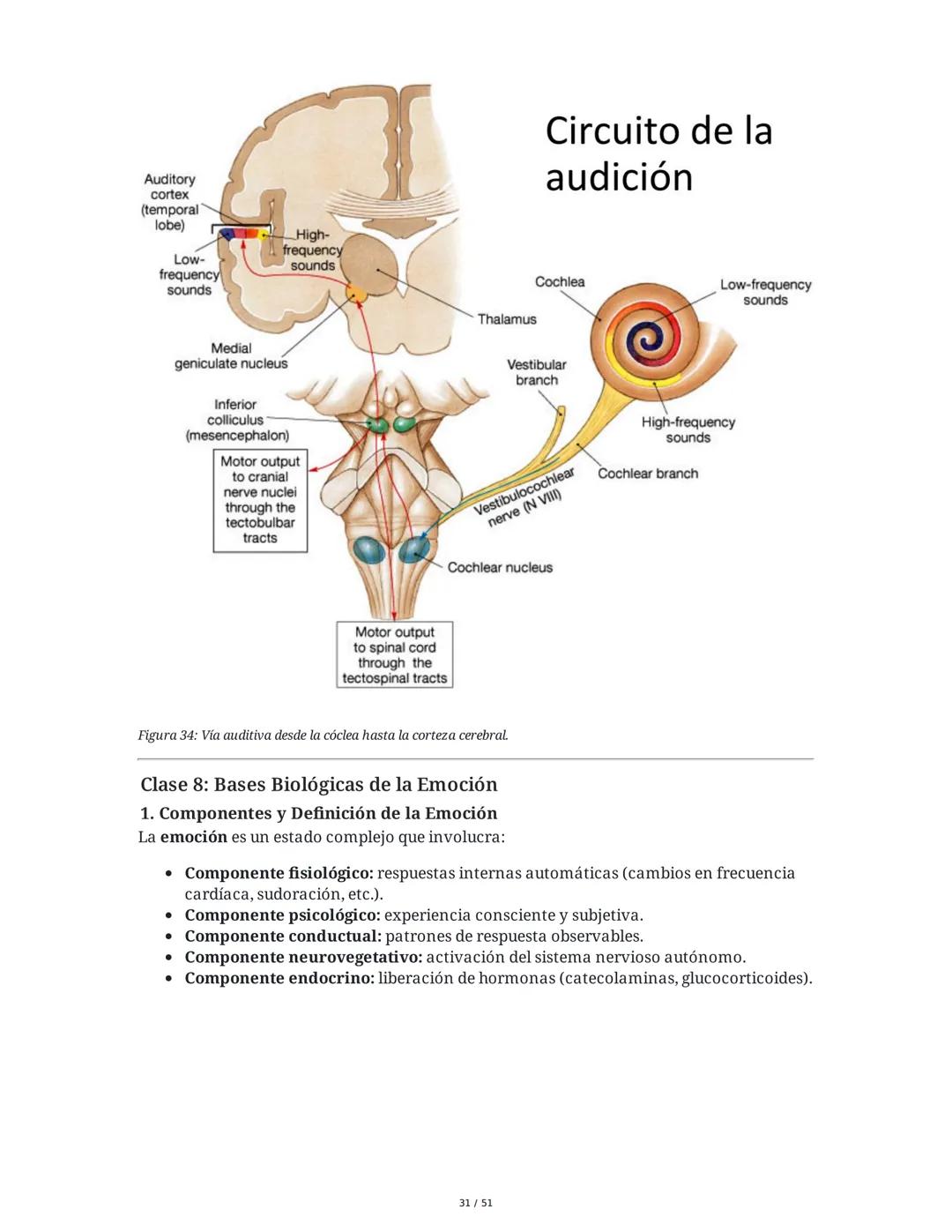 Biología de la Conducta y la Emoción
Clase 7: Los Sentidos
1. Introducción a los Sistemas Sensitivos
La percepción sensorial es el proceso m