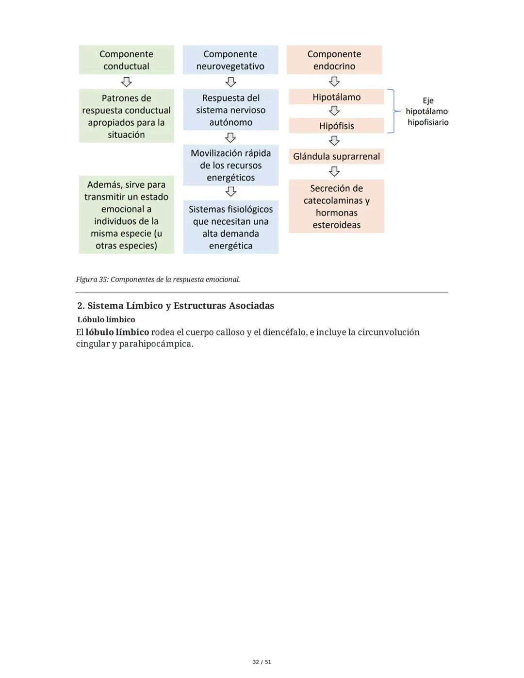 Biología de la Conducta y la Emoción
Clase 7: Los Sentidos
1. Introducción a los Sistemas Sensitivos
La percepción sensorial es el proceso m