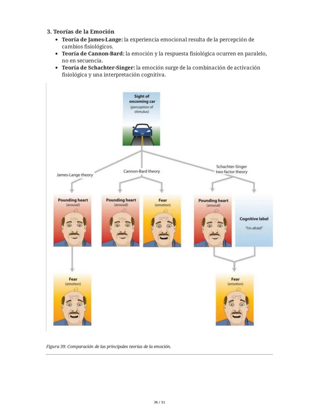 Biología de la Conducta y la Emoción
Clase 7: Los Sentidos
1. Introducción a los Sistemas Sensitivos
La percepción sensorial es el proceso m