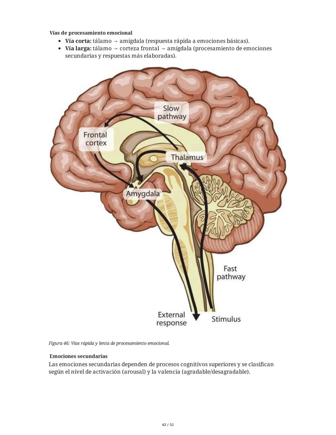 Biología de la Conducta y la Emoción
Clase 7: Los Sentidos
1. Introducción a los Sistemas Sensitivos
La percepción sensorial es el proceso m