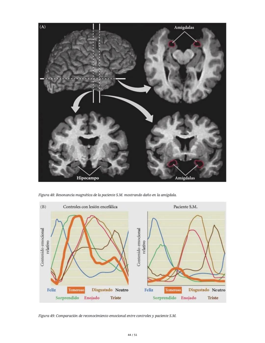 Biología de la Conducta y la Emoción
Clase 7: Los Sentidos
1. Introducción a los Sistemas Sensitivos
La percepción sensorial es el proceso m