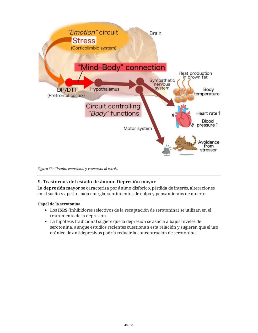 Biología de la Conducta y la Emoción
Clase 7: Los Sentidos
1. Introducción a los Sistemas Sensitivos
La percepción sensorial es el proceso m