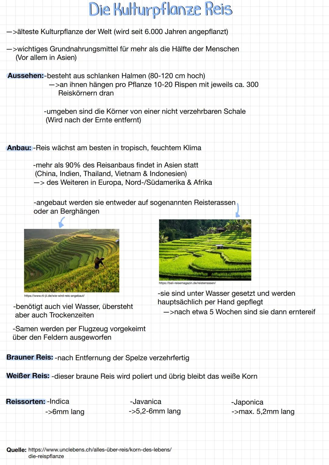 # Die Kulturpflanze Reis
->älteste Kulturpflanze der Welt (wird seit 6.000 Jahren angepflanzt)
->wichtiges Grundnahrungsmittel für mehr al