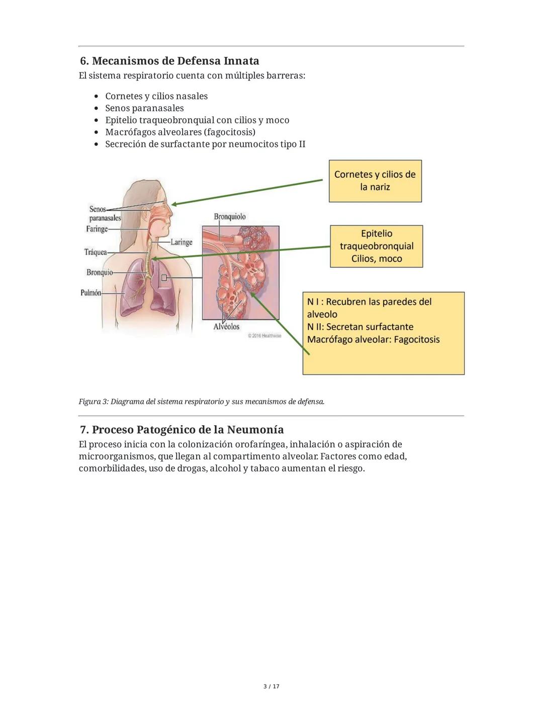 Neumonía Adquirida en la Comunidad (NAC) e Insuficiencia
Respiratoria
1. Introducción al Sistema Respiratorio y Neumonía
La neumonía adquiri