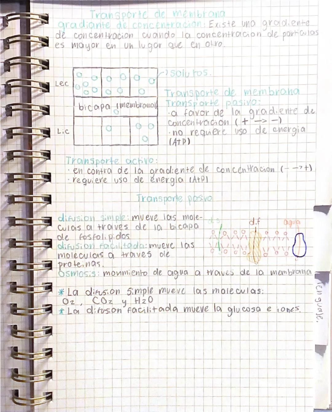 --- OCR Start ---
biolo gia
Menavale
Membrana plasmatica
* La celula y los organelos tienen membrana
funciones:
1. Las proteinas regulan el