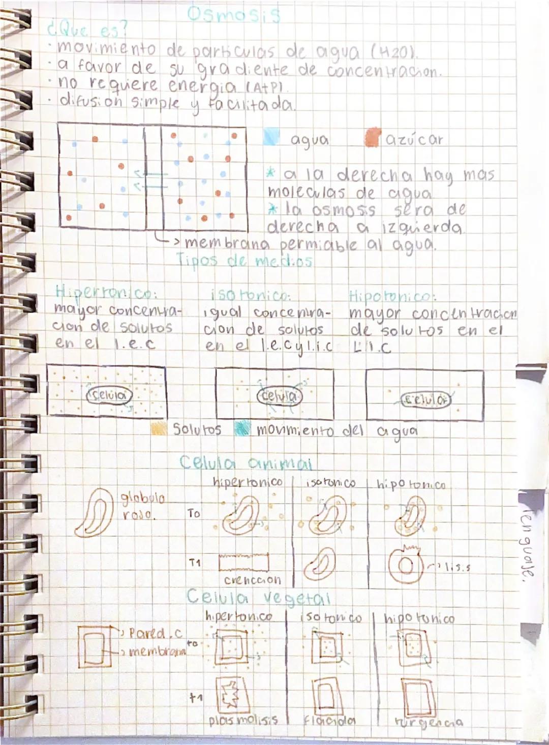 --- OCR Start ---
biolo gia
Menavale
Membrana plasmatica
* La celula y los organelos tienen membrana
funciones:
1. Las proteinas regulan el