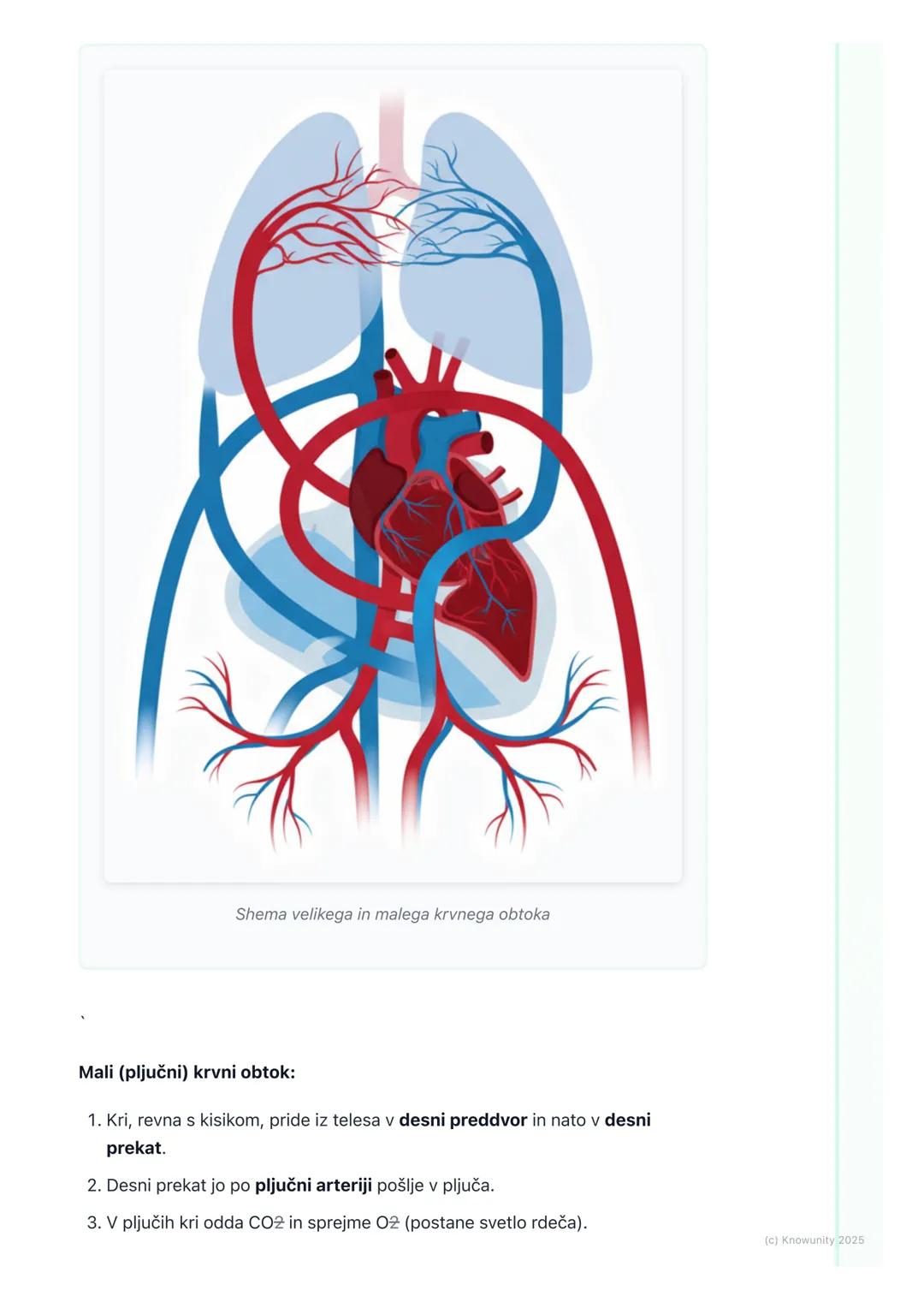 # Krvni obtok
Uvod v krvni obtok
Krvni obtok je transportni sistem našega telesa. Predstavljam si ga kot mrežo
cest (krvne žile), po kater