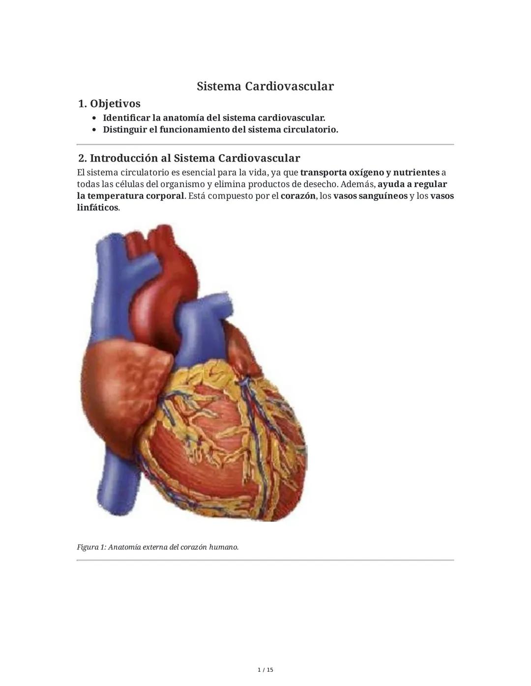 Sistema Cardiovascular
1. Objetivos
• Identificar la anatomía del sistema cardiovascular.
• Distinguir el funcionamiento del sistema circula
