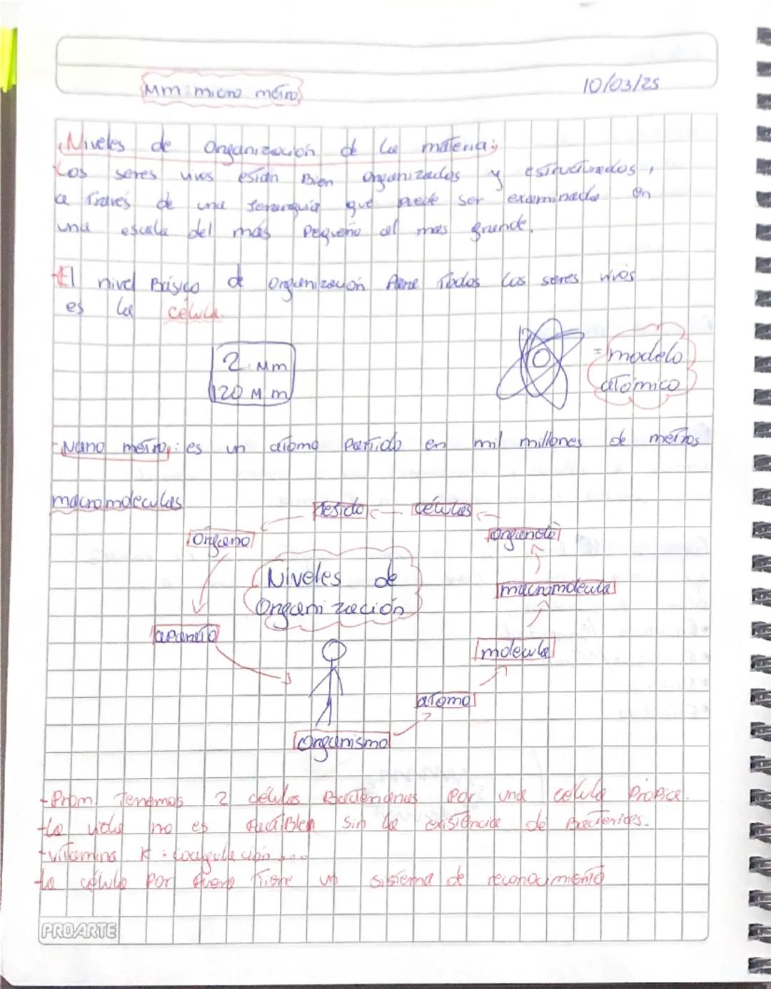 Organización de la materia